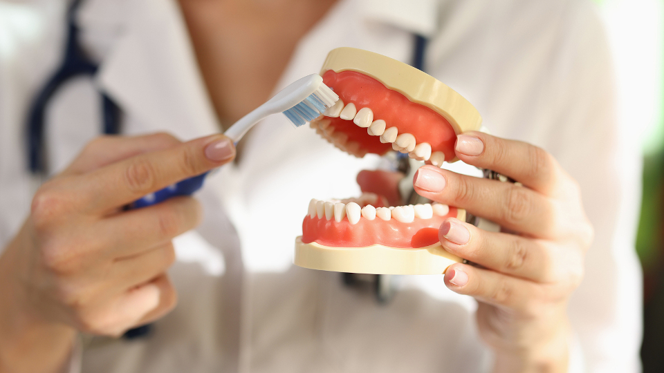 Wie putzt man richtig Zähne? Ihre Zahnärzte in Abensberg